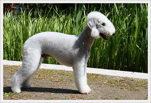 Arc-en-ciel 2017-1-500-3