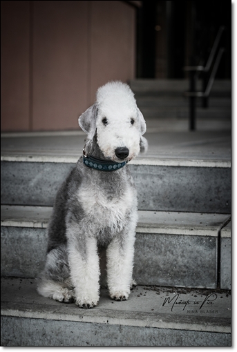 2019-12-22 Anakin-0010-3