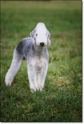 2020-01-20 Anakin-0349aaklein