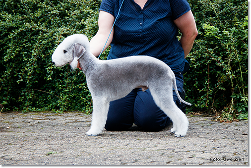 2021-07-04 Anakin - CAC OG Bonn-9444-1-Web-1