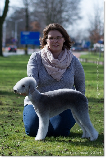 2017-03-12 Wijchen-a