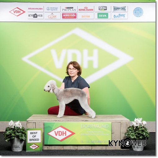 2017-10-15 Herbstsieger-kl#